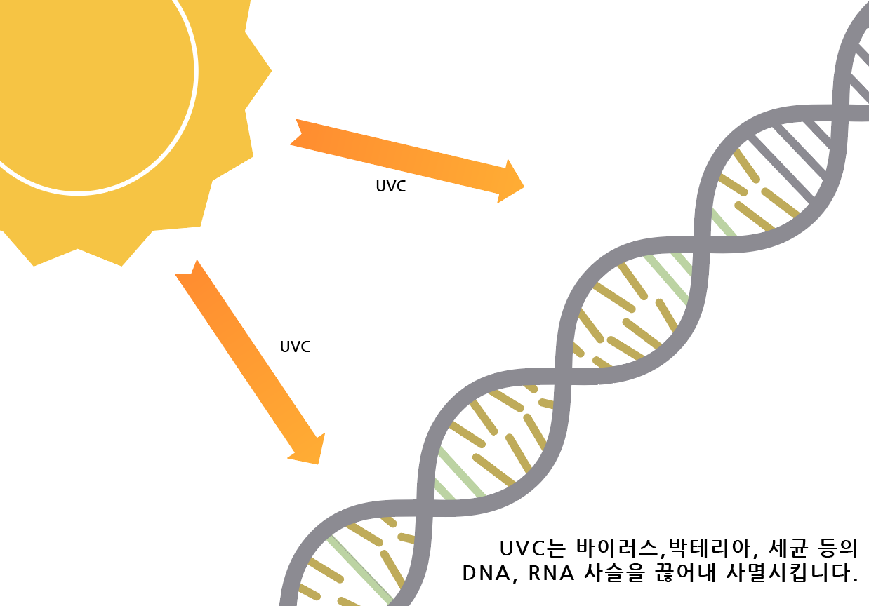 UVC는 바이러스, 박테리아, 세균 등의 DNA, RNA 사슬을 끊어내 사멸시킵니다.